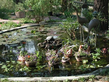 Freestone's-Close-Up-of--Pond-with-Cranes