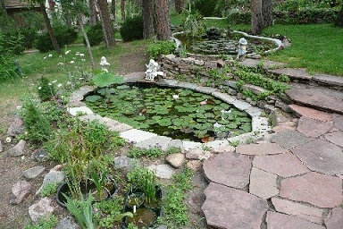 Freestone's-Ponds