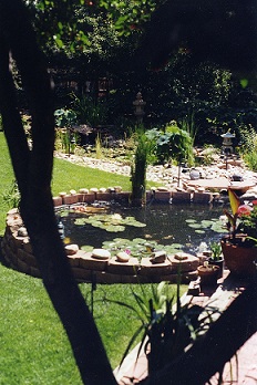 Hoffman-Pond