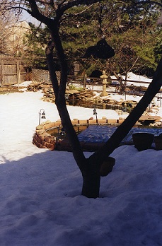 Hoffman-Pond-in-Winter