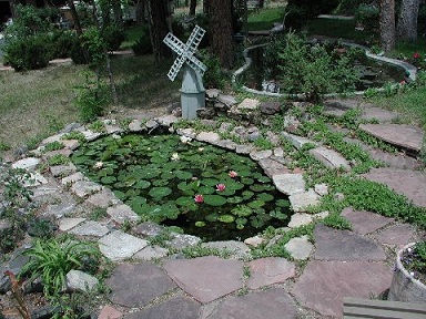 Freestone's-Pond-with-Windmill